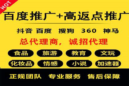 成功SEM服务案例：优化广告投放